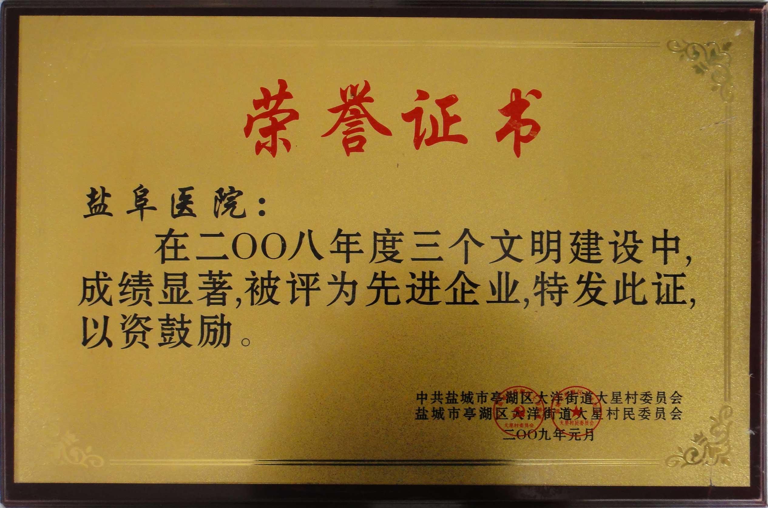 2008年度先進(jìn)企業(yè)